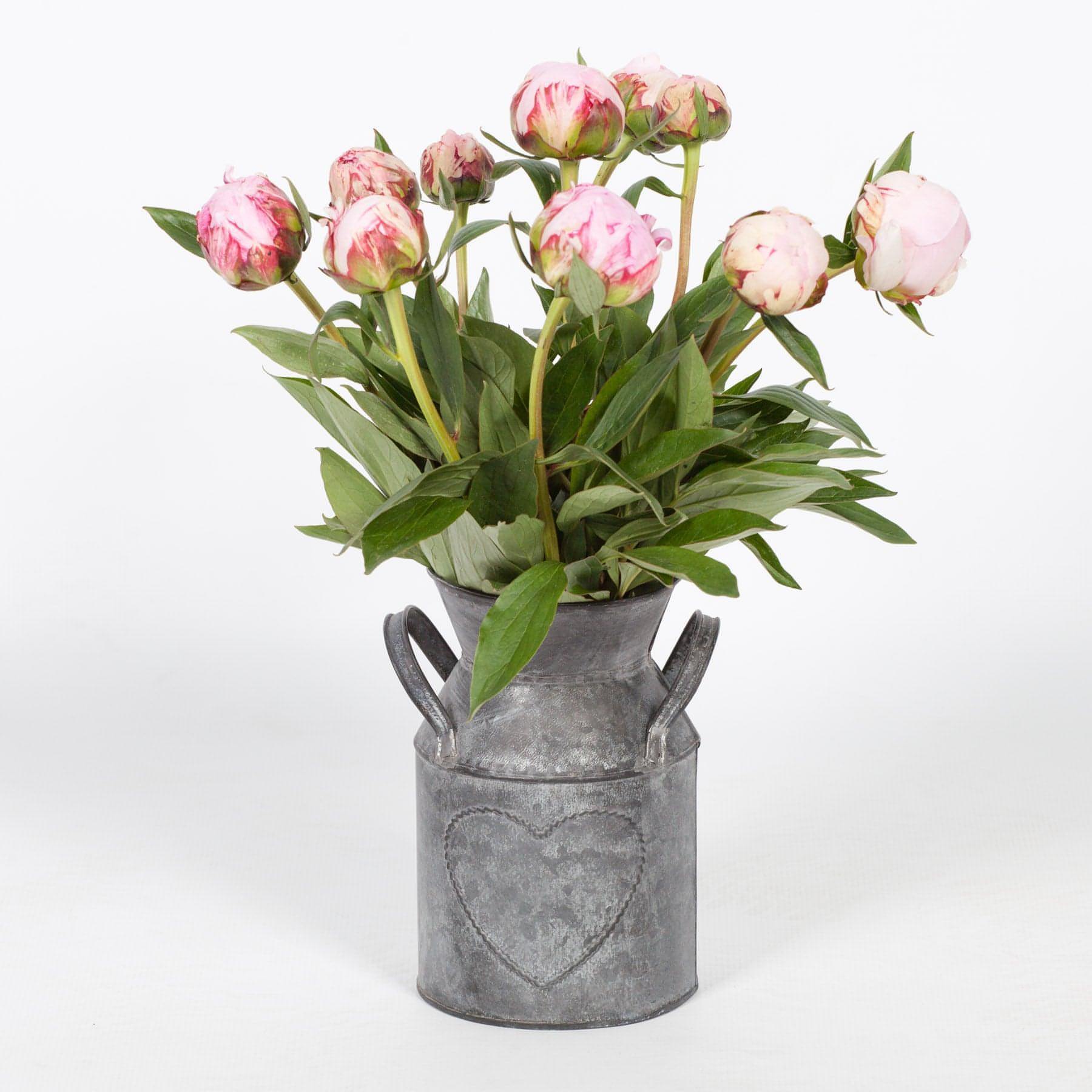 Vintage Style Tin Pot - House of Altair