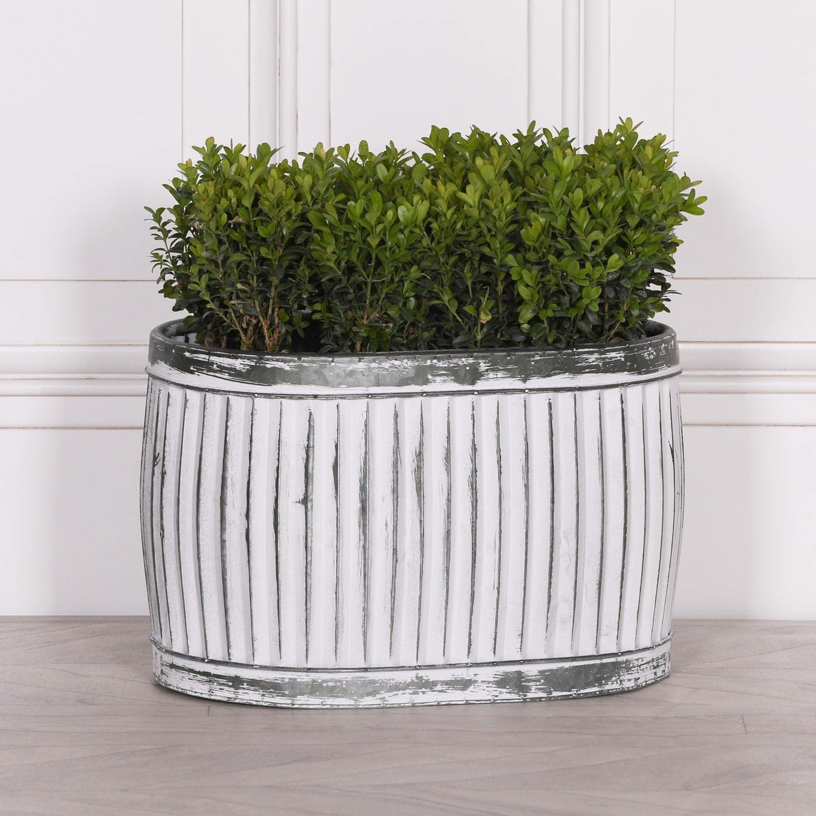 Dolly Tub Oval Metal Planter - Medium - House of Altair